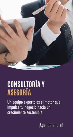 asesoria especializada